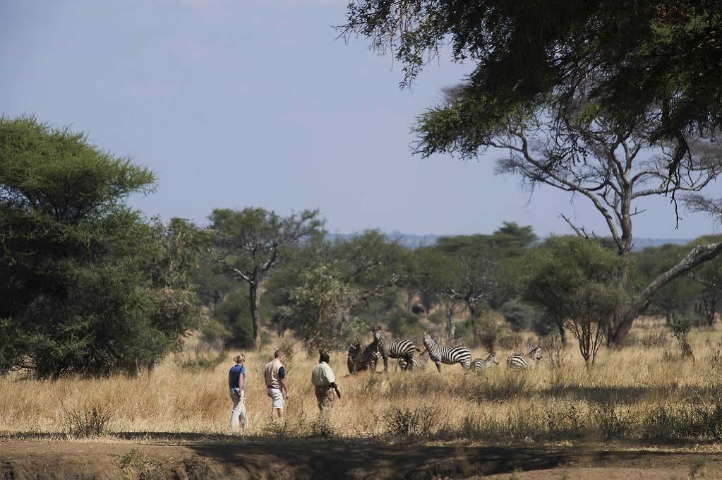 Sanctuary Swala Ξενοδοχείο Babati Εξωτερικό φωτογραφία